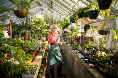 Female gardener examining plants at greenhouse