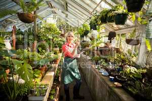Female gardener examining plants at greenhouse