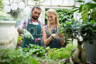 Happy colleagues working at greenhouse