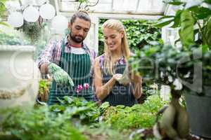 Happy colleagues working at greenhouse