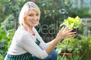 Confident female gardener holding potted plant
