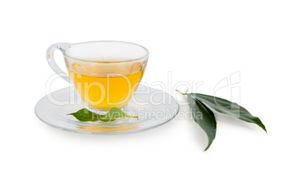 Close-up of herbal tea