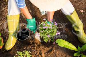 High angle view of gardener using trowel for planting at garden