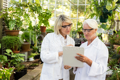 Female coworkers looking in clipboard at greenhouse
