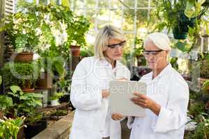 Female coworkers looking in clipboard at greenhouse