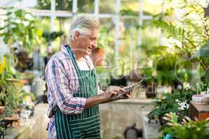 Mature man using digital tablet at greenhouse