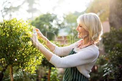 Happy female gardener pruning plants on sunny day