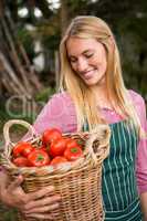 Happy gardener carrying fresh tomatoes basket at garden