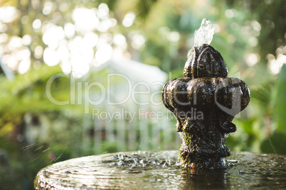 Close-up of fountain at botanical garden