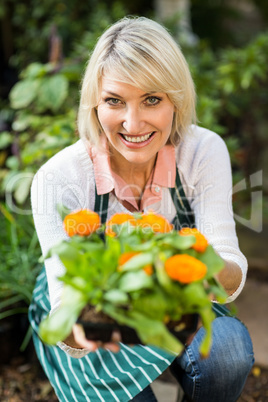 Female gardener showing potted flowering plant