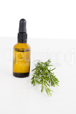 Close-up of aromatherapy oil with rosemary