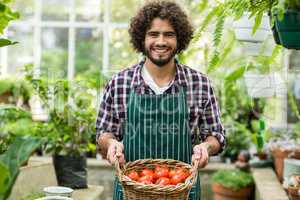 Gardener carrying fresh tomatoes in wicker basket