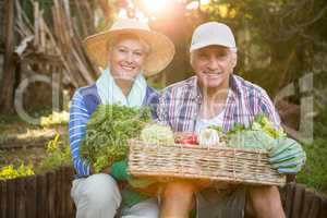 Portrait of mature couple carrying vegetables crate at garden