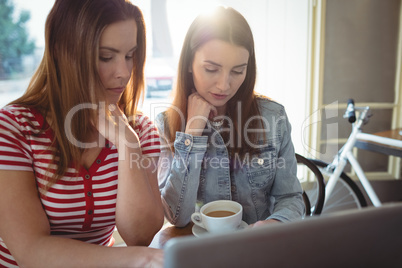 Young friends with laptop at cafe