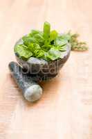 Basil leaves in mortar and pestle