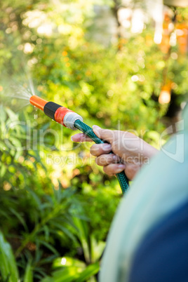 Cropped image of gardener watering from hose at garden