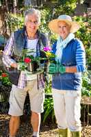 Portrait of happy couple with potted plants at garden