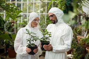Scientists in clean suit holding potted plants