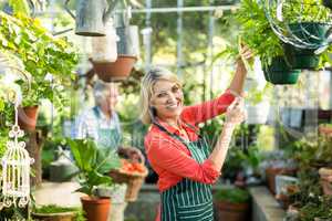 Mature woman inspecting potted plants at greenhouse