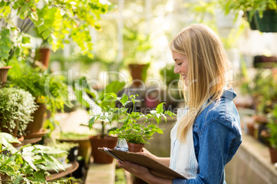 Young female gardener holding clipboard while examining plants