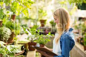 Young female gardener holding clipboard while examining plants