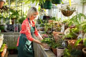 Mature woman holding potted plant at greenhouse