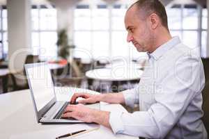 Side view of executive typing on laptop at creative office
