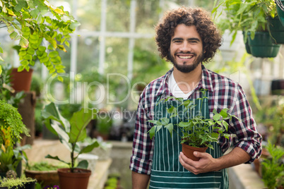 Smiling male gardener holding potted plant