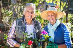 Portrait of happy couple holding potted plants at garden