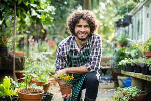 Smiling male gardener holding potted plant