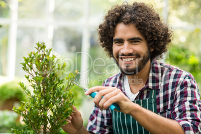 Happy male gardener pruning plants at greenhouse