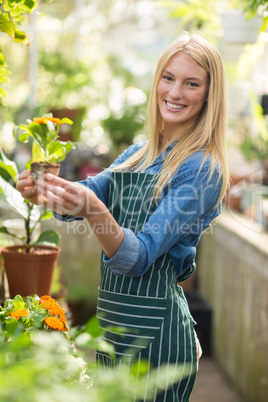 Beautiful female gardener holding flowering plant