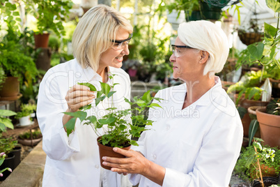 Female scientists holding potted plant