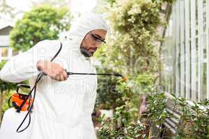 Male scientist spraying pesticides on plants