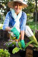 Portrait of happy gardener planting at garden