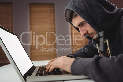 Young man using laptop in office