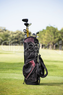 Filled golf bag with golf club