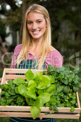 Portrait of happy gardener with leaf vegetables in crate at gard