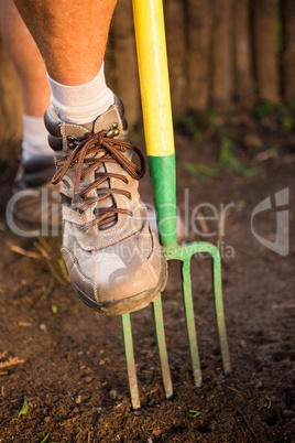 Low section of male gardener stepping on fork at garden