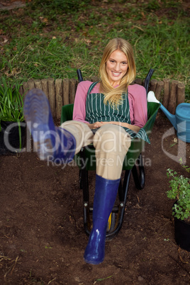 Portrait of happy gardener sitting in wheelbarrow at garden