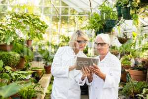 Scientists discussing over digital tablet at greenhouse