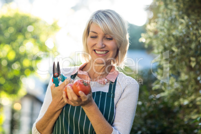 Female gardener holding pruning shears and tomatoes