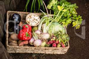 High angle view of vegetables in wicker crate at garden