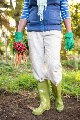 Low section of gardener with vegetables at garden