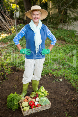 Portrait of mature gardener with vegetables crate at garden