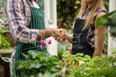 Midsection of colleagues shaking hands at greenhouse