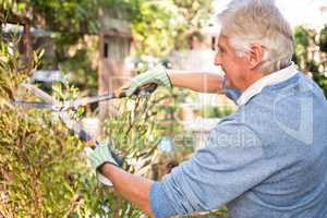 Side view of gardener using clippers at garden