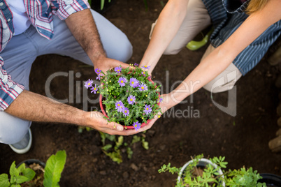 High angle view of gardeners holding potted plants at garden