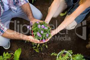 High angle view of gardeners holding potted plants at garden