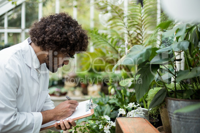 Male scientist writing in clipboard while examining plants